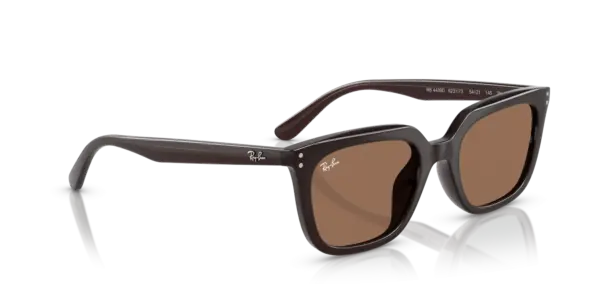 Ray-Ban 0RB4439D 623173