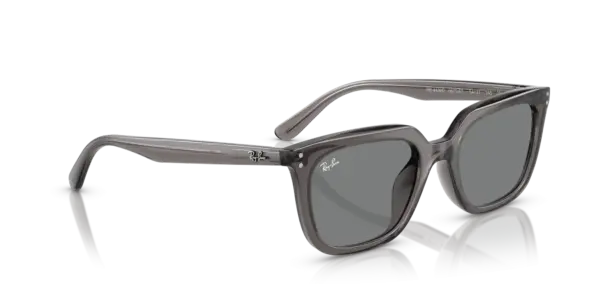 Ray-Ban 0RB4439D 667587