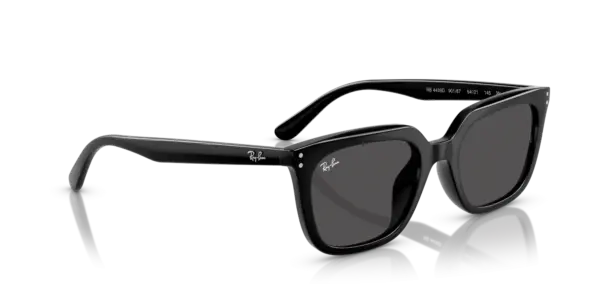 Ray-Ban 0RB4439D 901/87