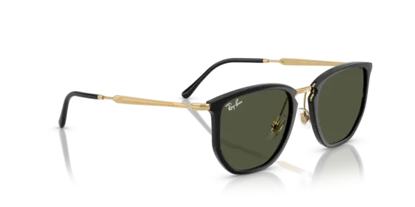 Ray-Ban 0RB4451 630631