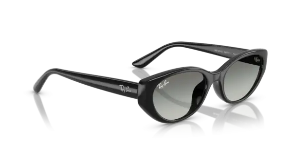 Ray-Ban 0RB4457D 667711
