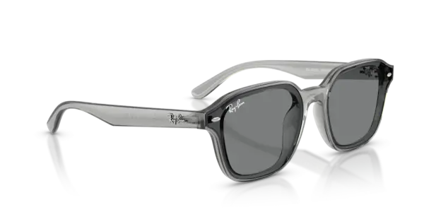 Ray-Ban 0RB4458D 645087