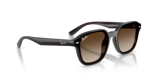 Ray-Ban 0RB4458D 714/13
