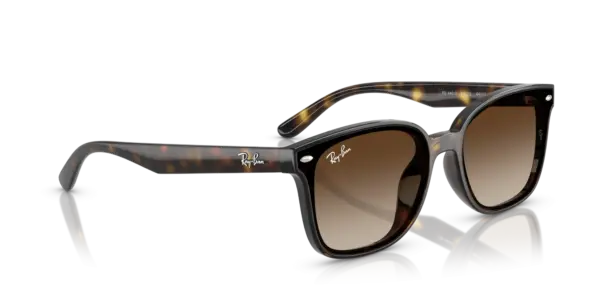 Ray-Ban 0RB4461D 710/13