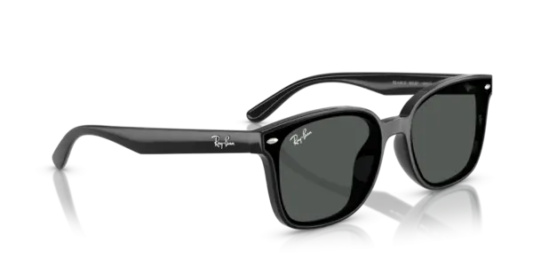 Ray-Ban 0RB4461D 601/87