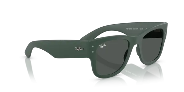 Ray-Ban 0RB4840S 665787
