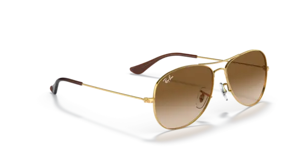 Ray-Ban Cockpit 0RB3362 001/51