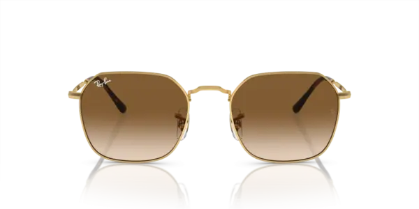 Ray-Ban Jim 0RB3694 001/51