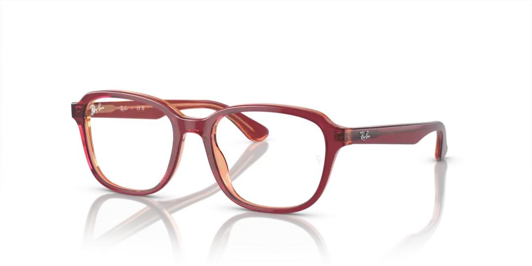 Ray-Ban Junior Optical 0RY1627 3947