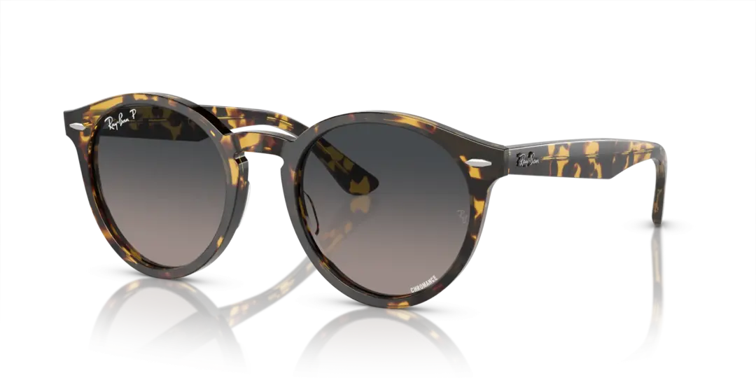 Ray-Ban Larry 0RB7680S 1332GL