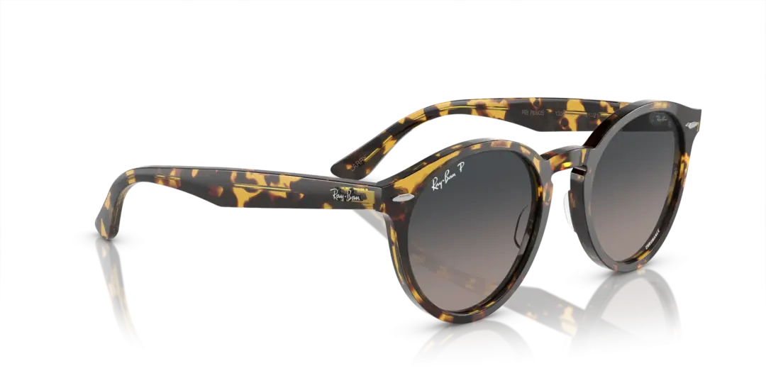 Ray-Ban Larry 0RB7680S 1332GL