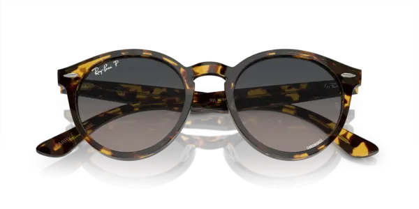 Ray-Ban Larry 0RB7680S 1332GL