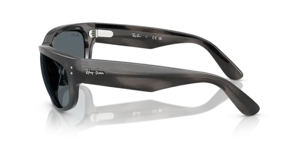Ray-Ban Mega balorama 0RB2289 1404R5