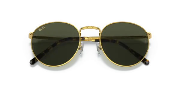 Ray-Ban New round 0RB3637 919631