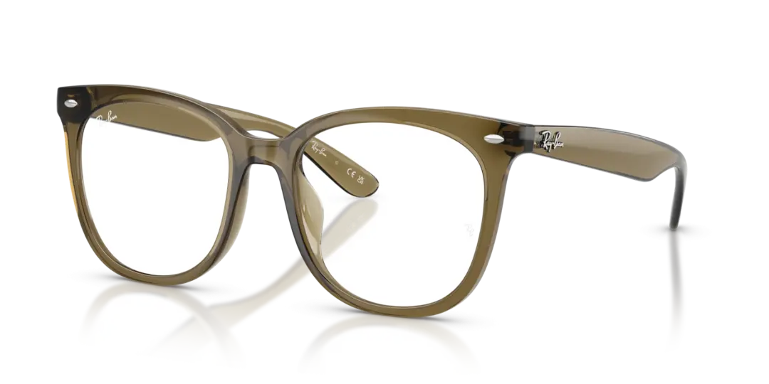 Ray-Ban Optical 0RX4379VD 8445