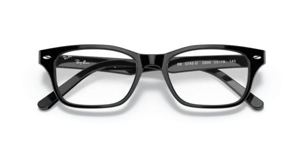 Ray-Ban Optical 0RX5345D 2000
