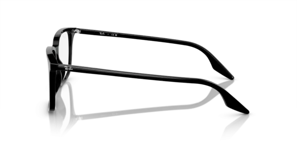 Ray-Ban Optical 0RX5421F 2000