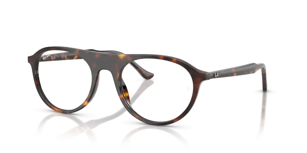 Ray-Ban Optical 0RX5441 2012