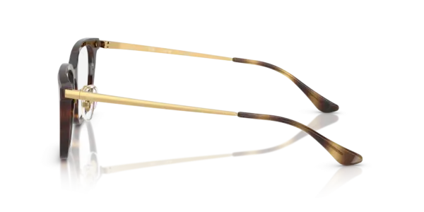 Ray-Ban Optical 0RX5442D 2012