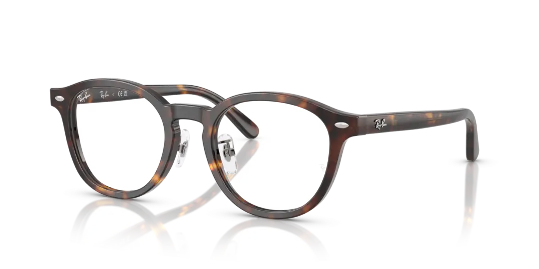 Ray-Ban Optical 0RX5443D 2012