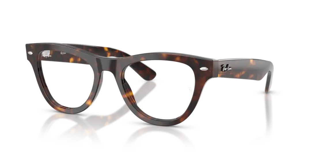 Ray-Ban Optical 0RX5510 2012