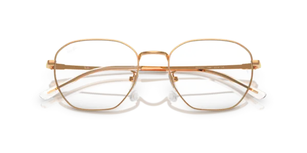 Ray-Ban Optical 0RX8777D 1248