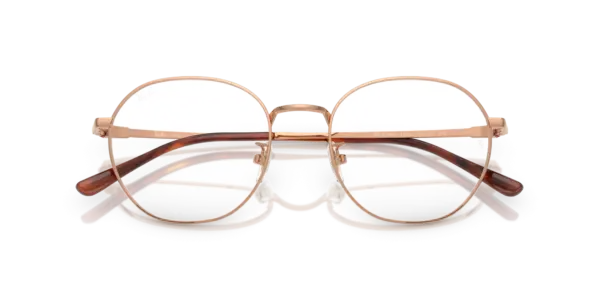 Ray-Ban Optical 0RX8778D 1245