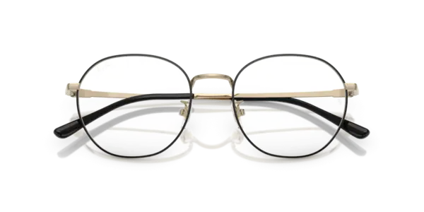 Ray-Ban Optical 0RX8778D 1250