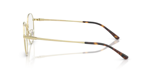 Ray-Ban Optical 0RX8778D 1251