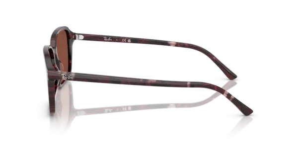 Ray-Ban Raimond 0RB2231F 1416C5