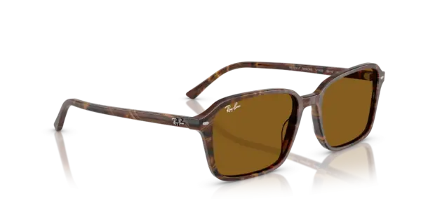 Ray-Ban Raimond 0RB2231F 141833