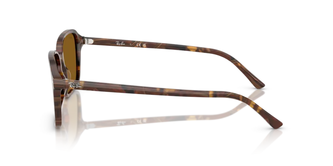 Ray-Ban Raimond 0RB2231F 141833