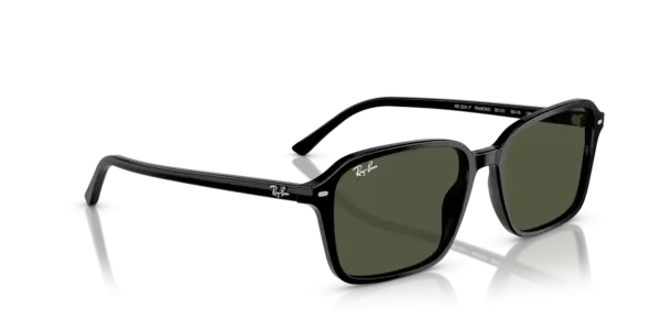 Ray-Ban Raimond 0RB2231F 901/31