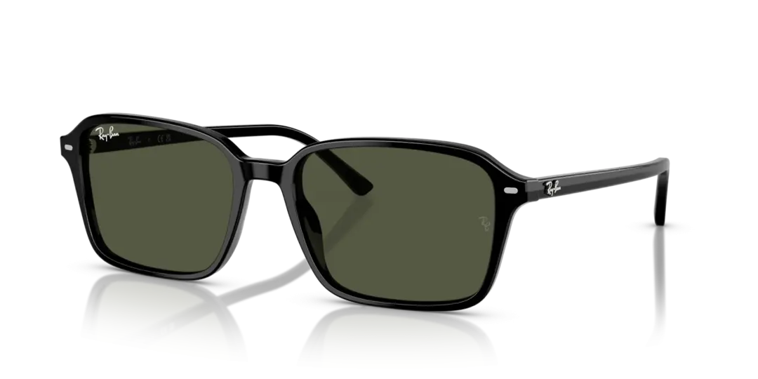 Ray-Ban Raimond 0RB2231F 901/31
