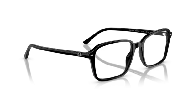 Ray-Ban Raimond 0RB2231F 901/GG