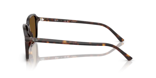 Ray-Ban Raimond 0RB2231F 902/57