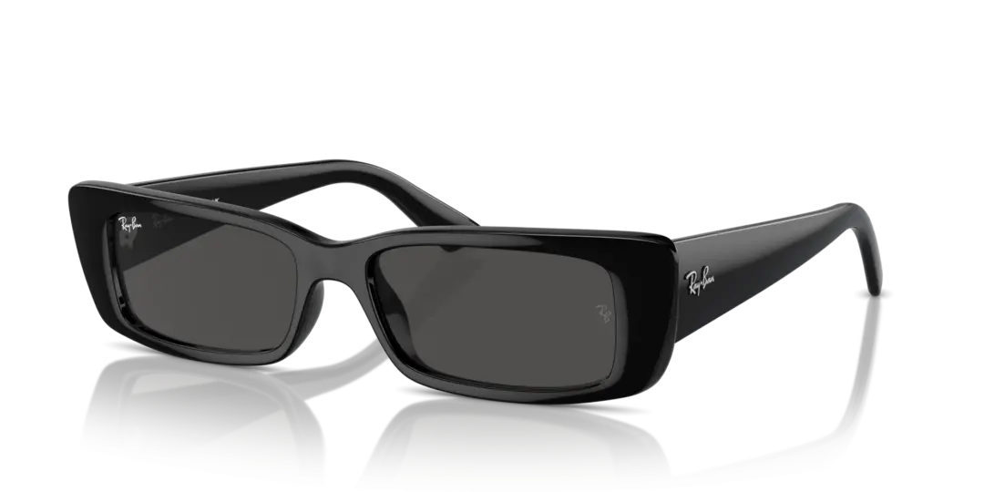 Ray-Ban Teru 0RB4425F 667787
