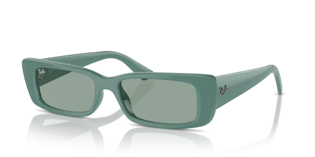 Ray-Ban Teru 0RB4425F 676282
