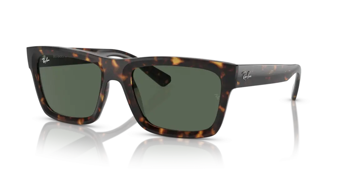 Ray-Ban Warren 0RB4396F 135971
