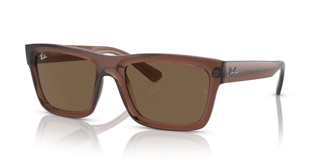 Ray-Ban Warren 0RB4396F 667873