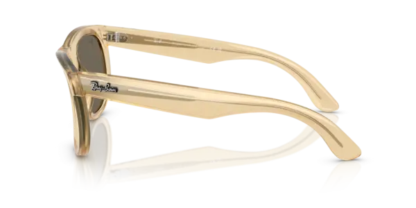 Ray-Ban Wayfarer reverse 0RBR0502S 68215A