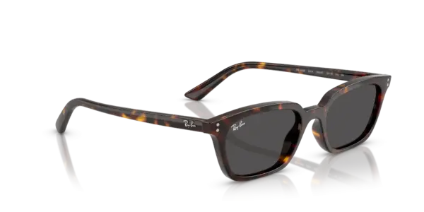 Ray-Ban Zaya 0RB4456F 135987